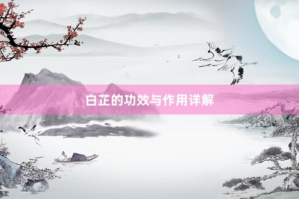 白芷的功效与作用详解