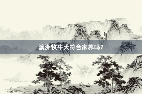 澳洲牧牛犬符合家养吗？